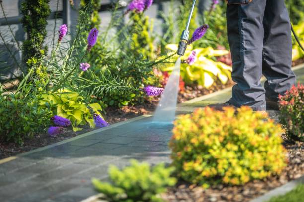 Trusted Ponce Inlet, FL Pressure Washing Services Experts