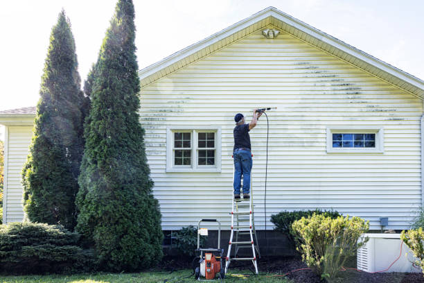 Best Dumpster Area Cleaning  in Ponce Inlet, FL